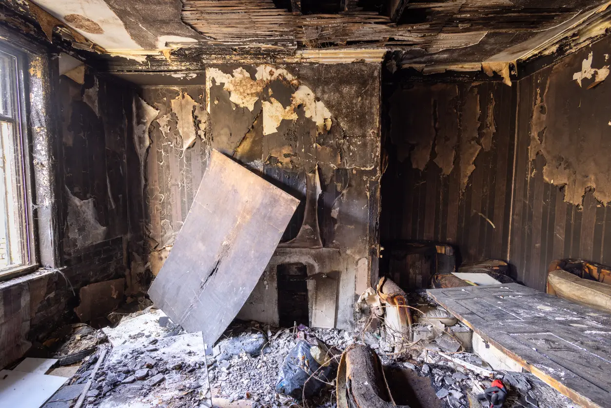 Wildfire and smoke damage restoration